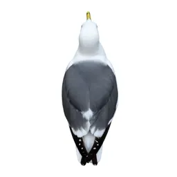 Gull