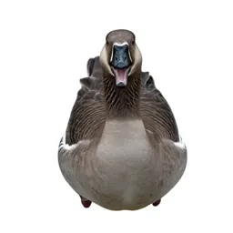 Honker