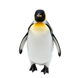King penguin