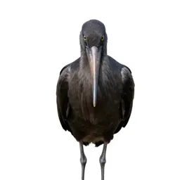 Openbill