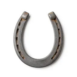 Horseshoe