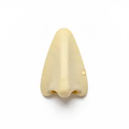 Nosepiece