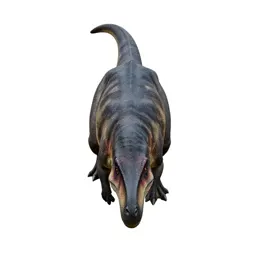 Ceratosaur