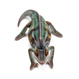 Chameleon