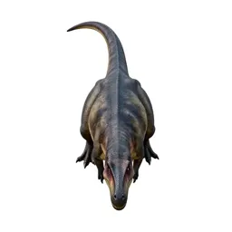 Coelophysis