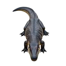 Dimetrodon