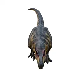 Dromaeosaur