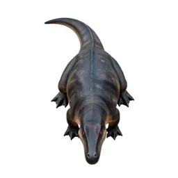 Nothosaur
