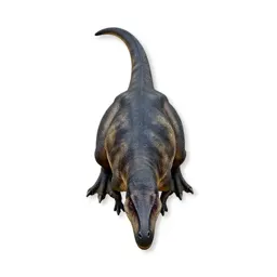 Pisanosaur