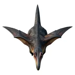 Pterodactyl