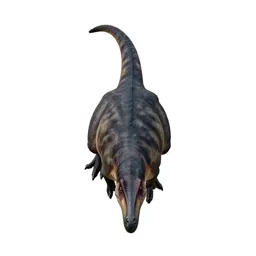 Pterosaur