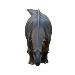 Sauropod