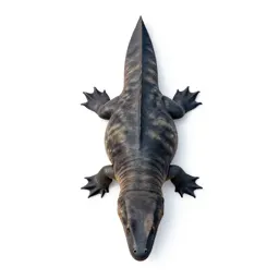 Stenopterygius