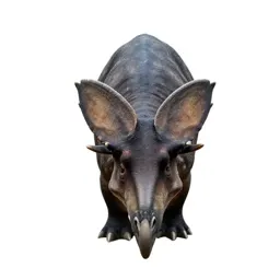 Styracosaur
