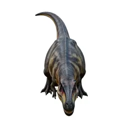 Allosaur