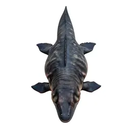 Ichthyosaurus