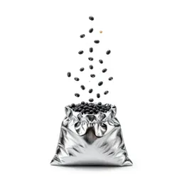 Beanbag