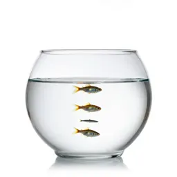 Fishbowl