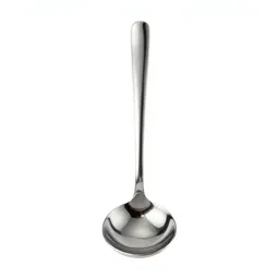 Ladle