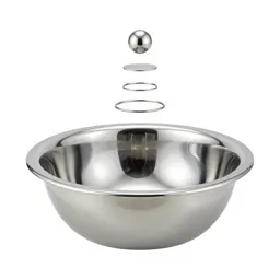 Emesis basin