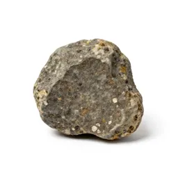 Chondrite