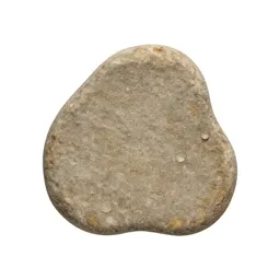 Petrifaction