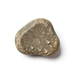 Sialolith