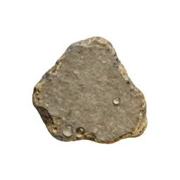 Xenolith