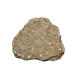 Outcrop