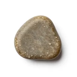 Urolith