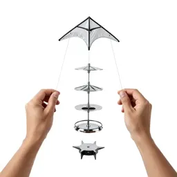 Sport kite