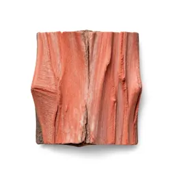 Bark
