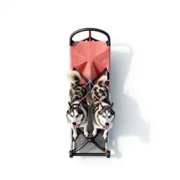 Dogsled