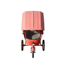 Jaunting car