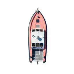 Police boat