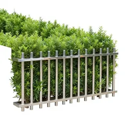 Hedge