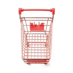 Shopping cart