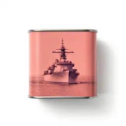 Tin can