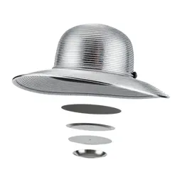 Picture hat