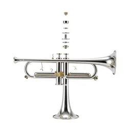 Trumpet arch