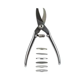 Pruner