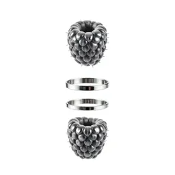Rasp