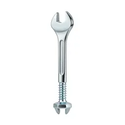 Screw key