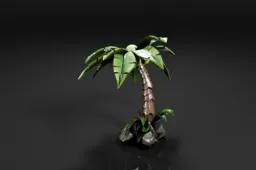Small palm tree
