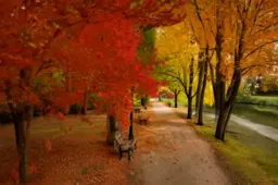 Beautiful landscape of a park during autumn