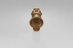 Small, round, brass-colored object with a cylindrical shape