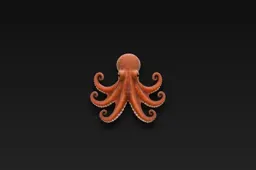 Octopus on a black background