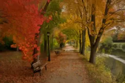 Beautiful landscape of a park during autumn