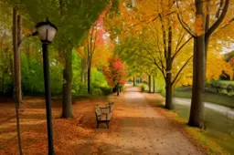 Beautiful landscape of a park during autumn