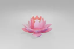 Pink lotus flower